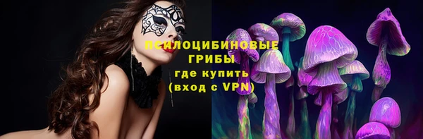спиды Дмитриев
