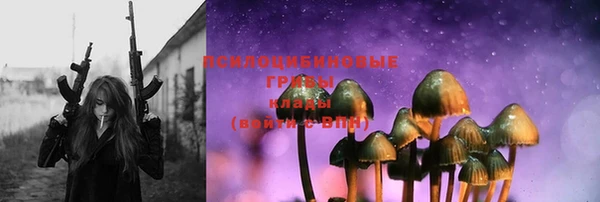 героин Ельня