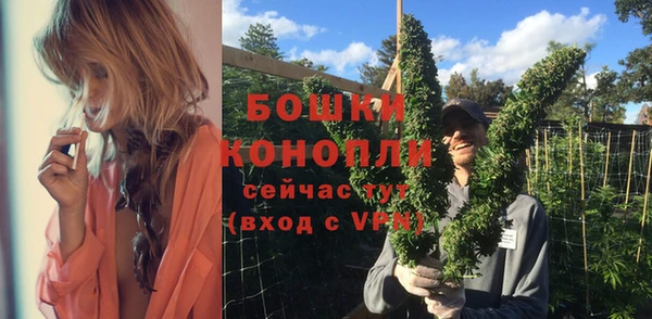 дмт Дмитровск