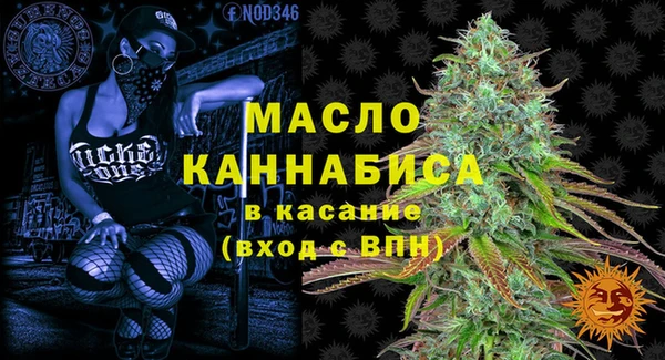 дмт Дмитровск