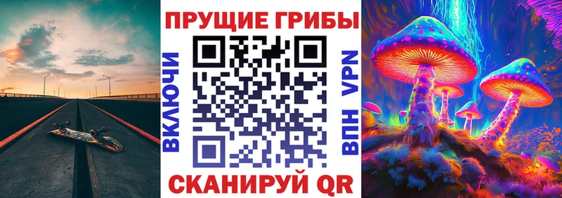 Псилоцибиновые грибы GOLDEN TEACHER  Купить  Кумертау 